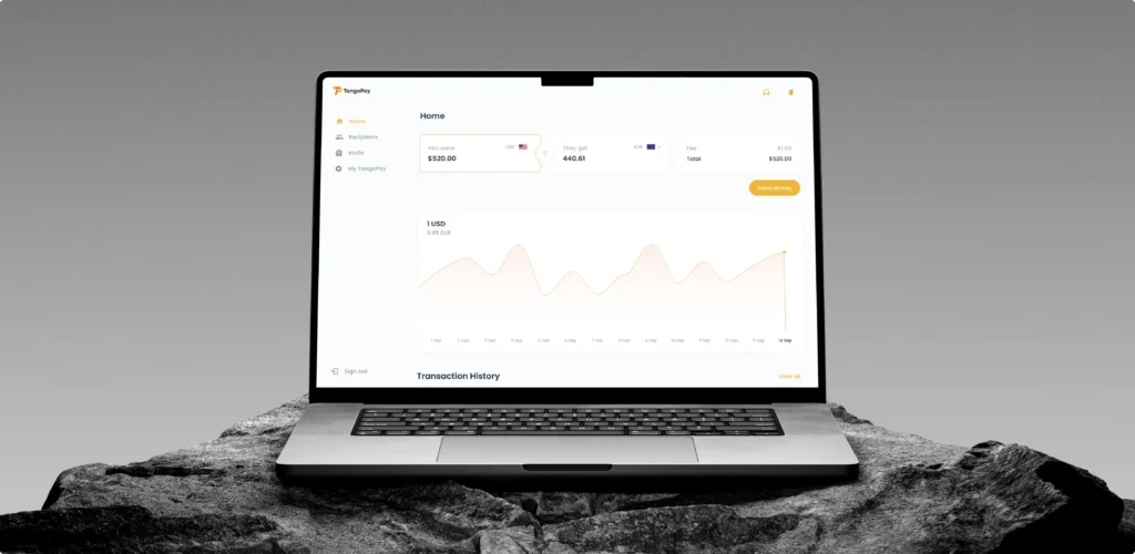 SaaS platform for international money transfers